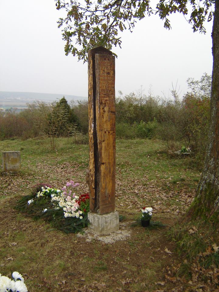 Pósa Lajos édesanyjának a sírja Nemesradnóton 1