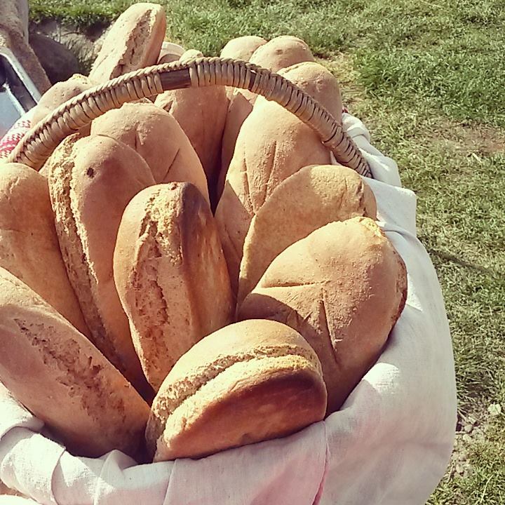 Az őstönkölyös kenyér