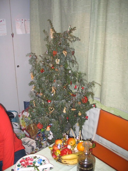Karácsonyfa a szerző felvételén