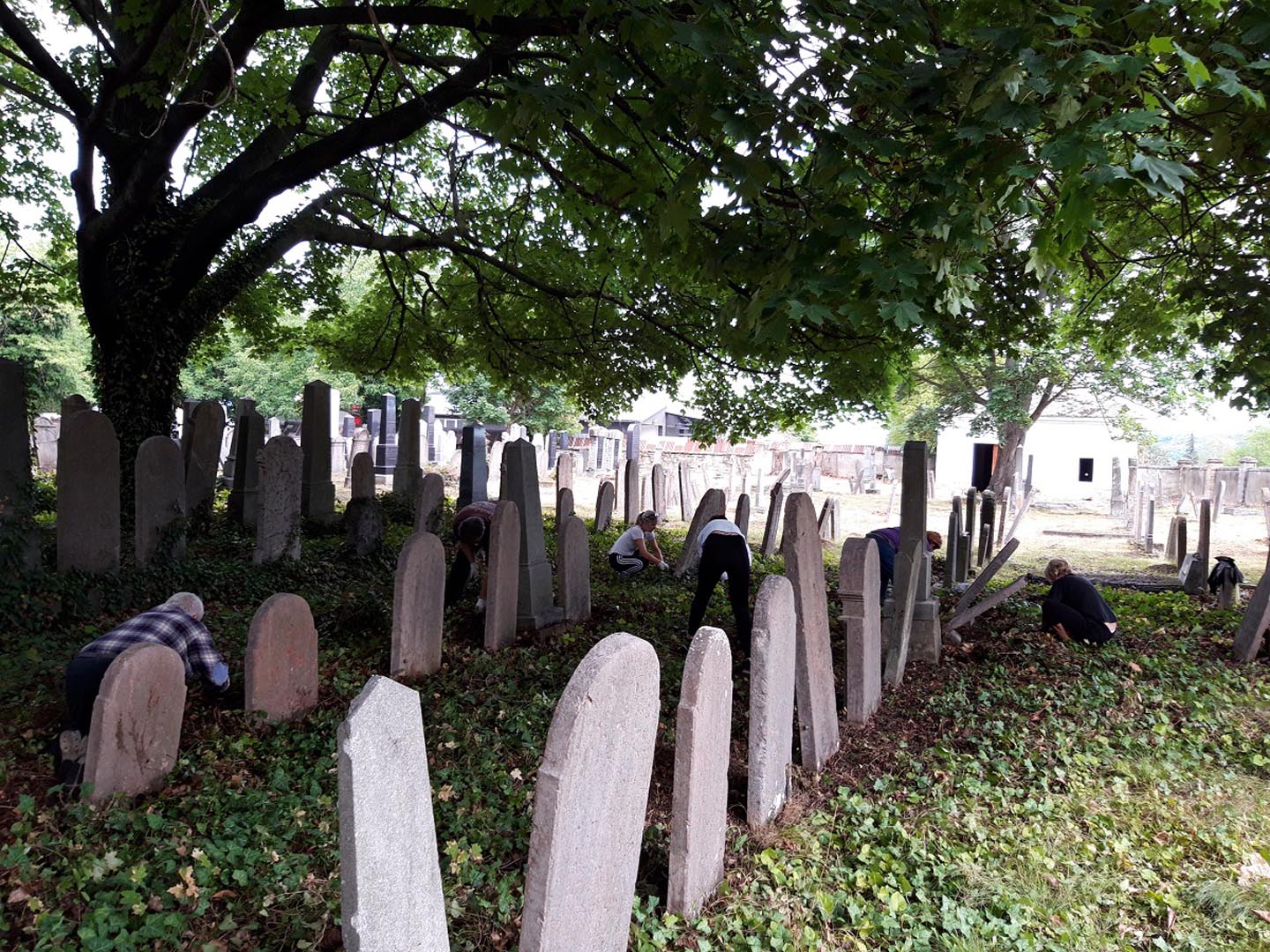Önkéntes munka eredményeként rendezik az ipolysági zsidó temetőt