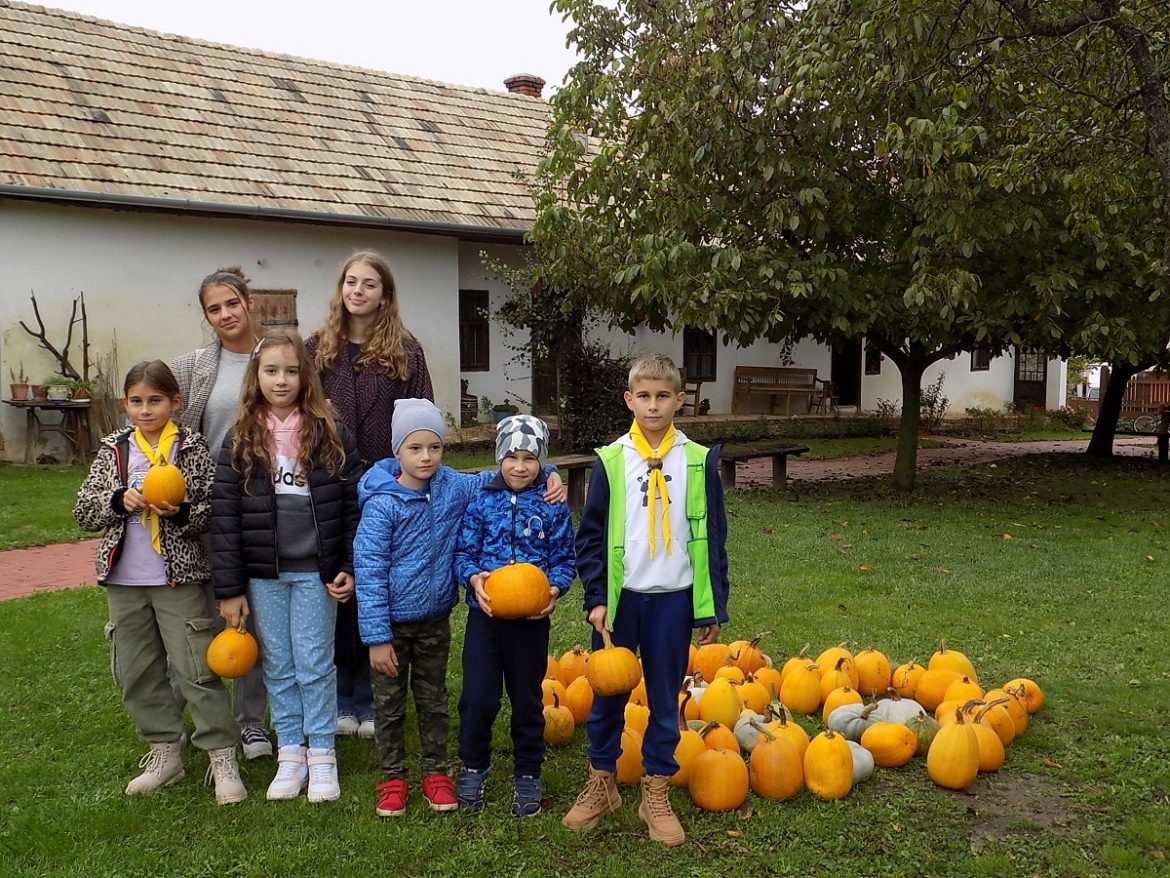 Szőgyén_Tökjónap_fotó_berényi kornélia (1)
