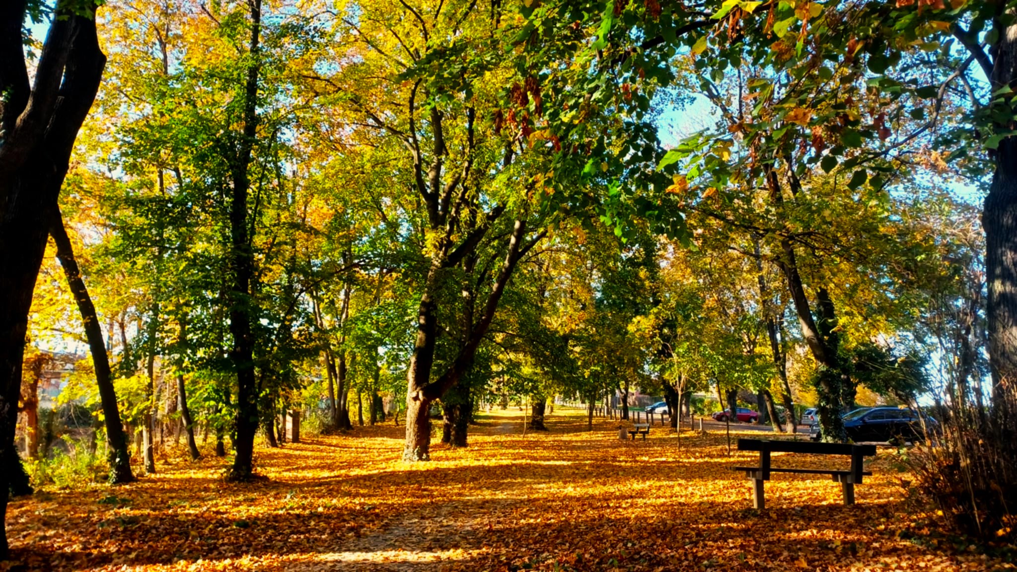 Novemberi barangolás Léva történelmi központjában