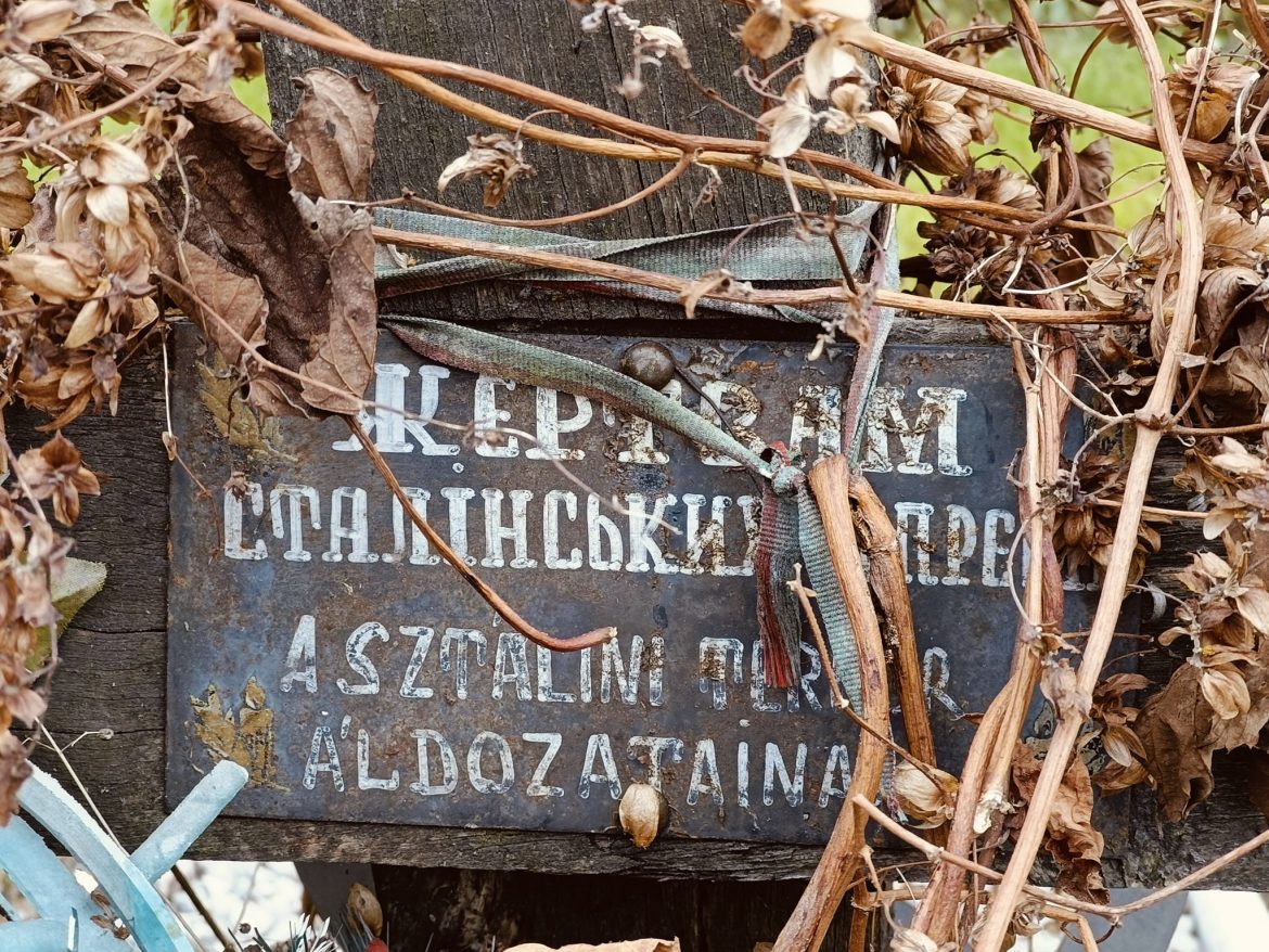2024.11.14. Ószambor b d