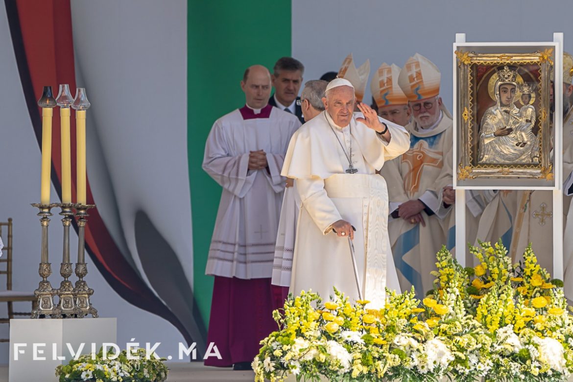 491864935_1136576271816184_7229363267154254819_n