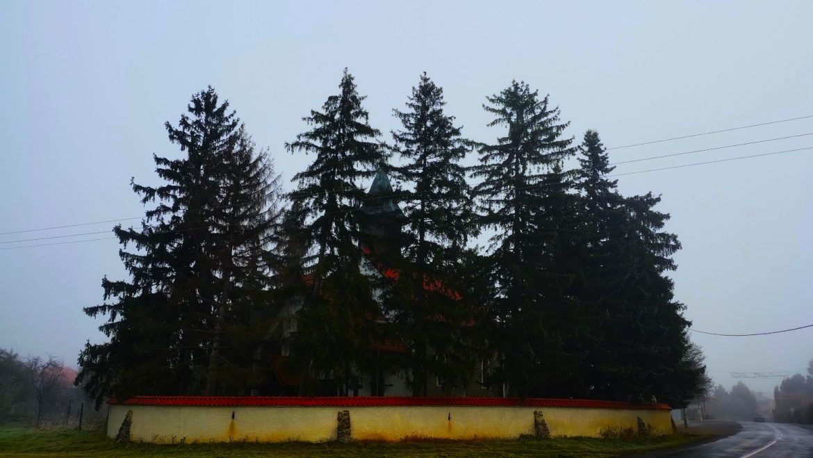 00-A-fenyofak-kozott-megbujt-Arpad-kori-erodtemlom