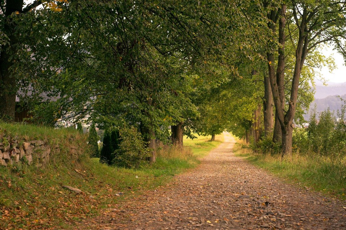 way-2771495_1280