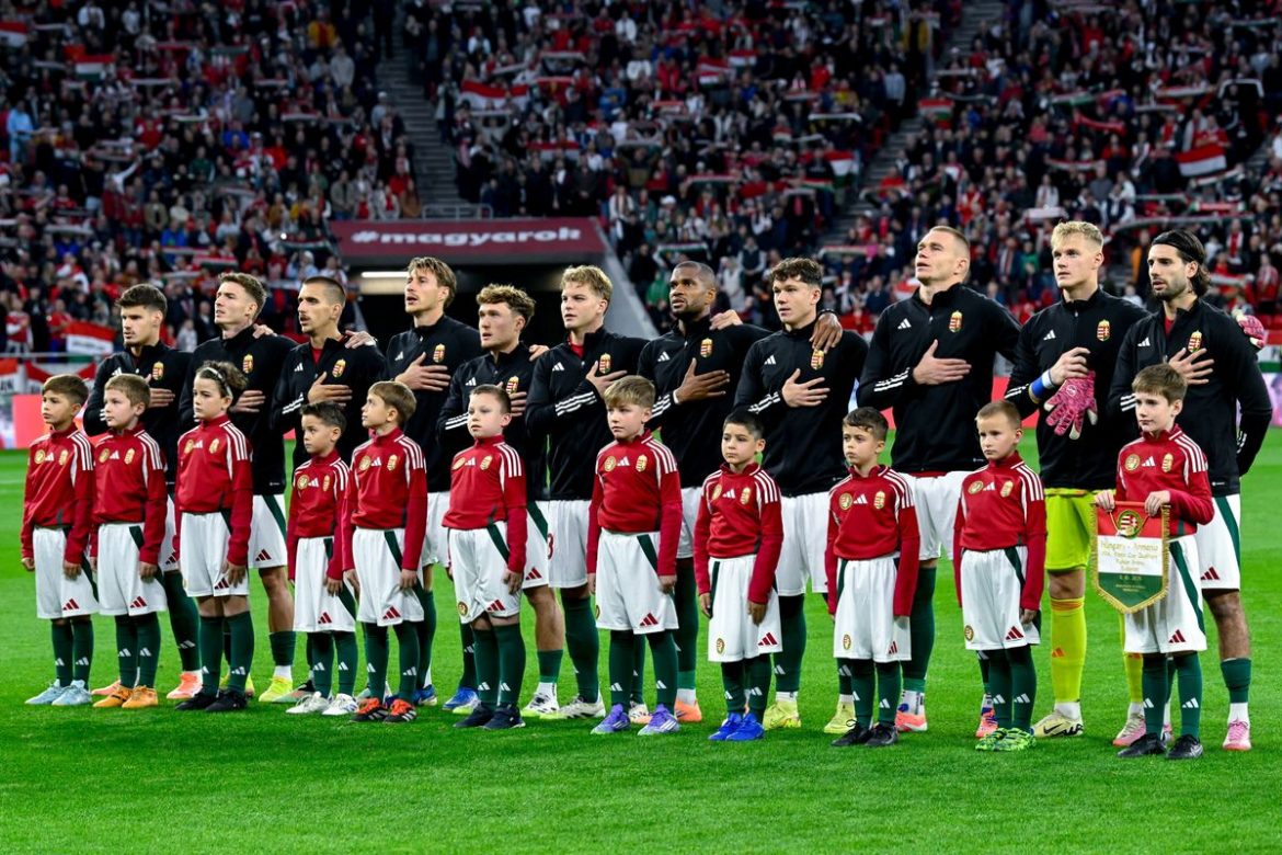 mti purger tamas nyiti